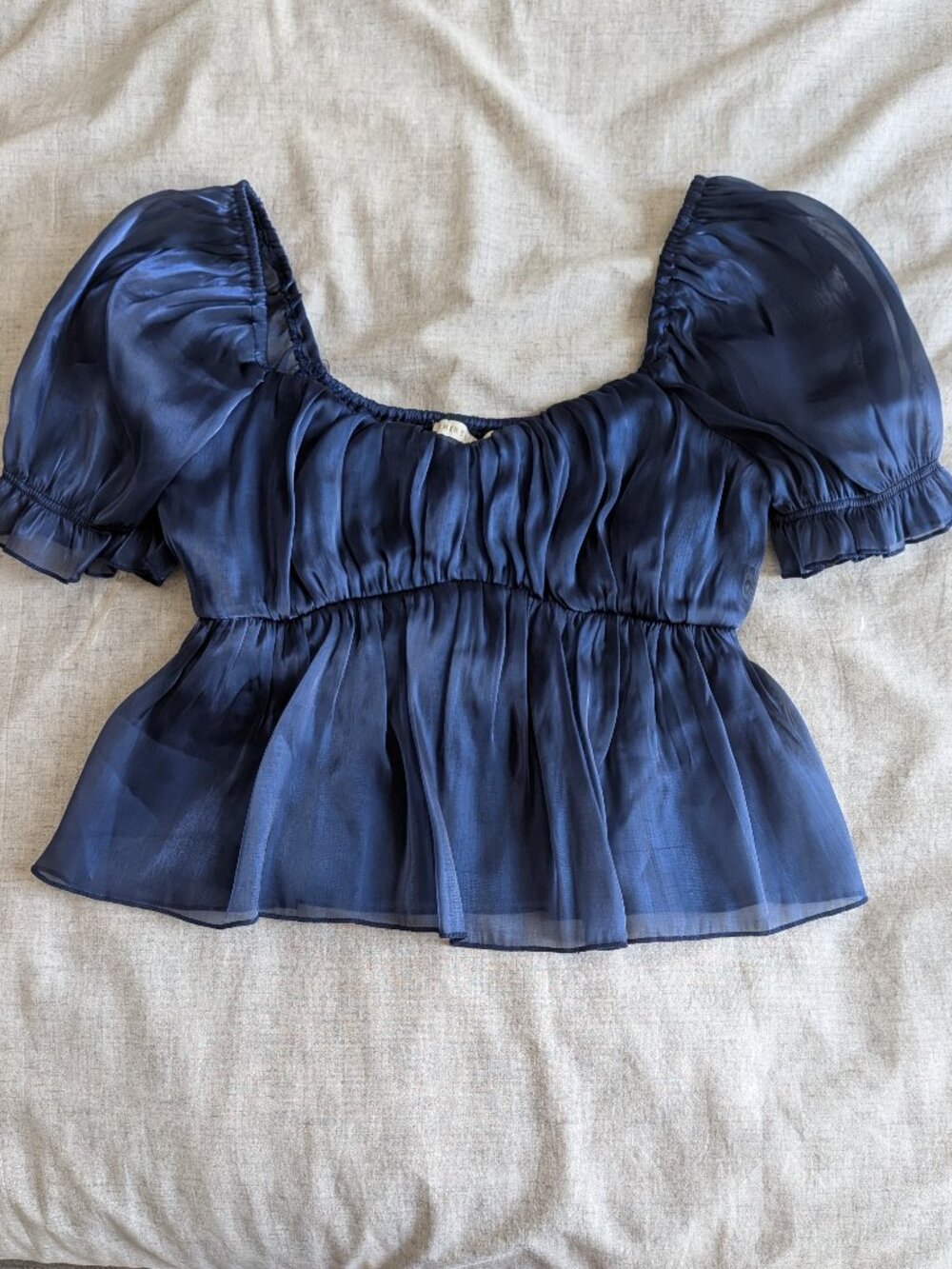 Blue Organza Blouse